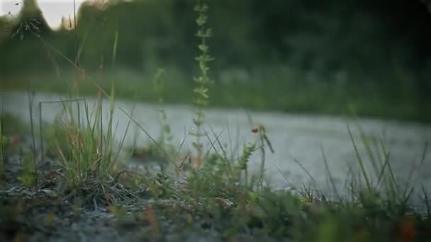 Certo uomo militare camminare sulla strada sabbiosa — Video Stock