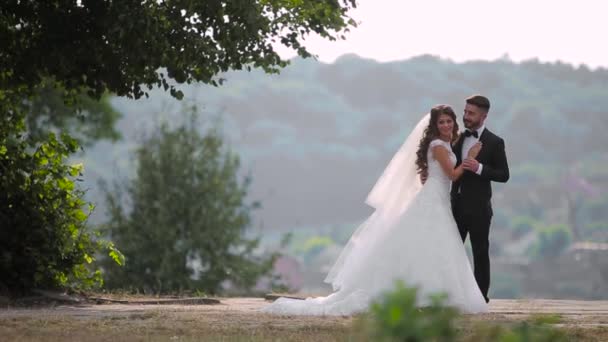 Güzel çift düğün — Stok video
