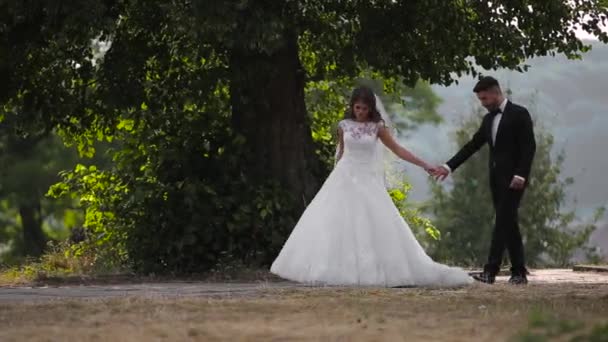 Güzel çift düğün — Stok video
