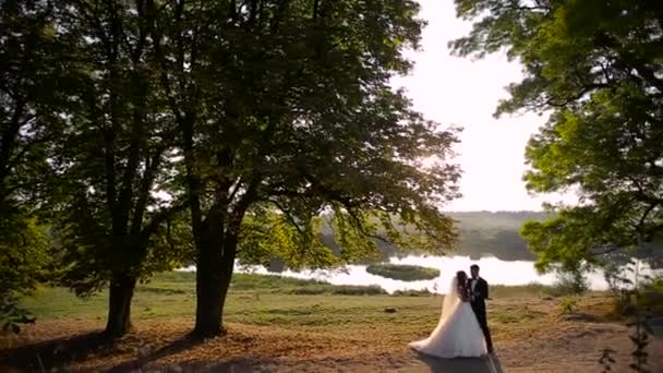 Casamento lindo casal — Vídeo de Stock