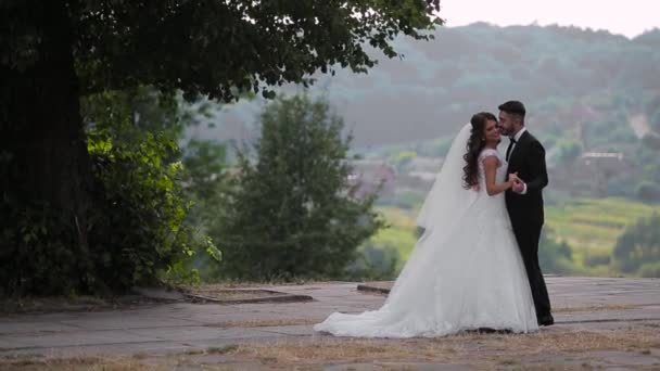 Wedding lovely couple — Stock Video