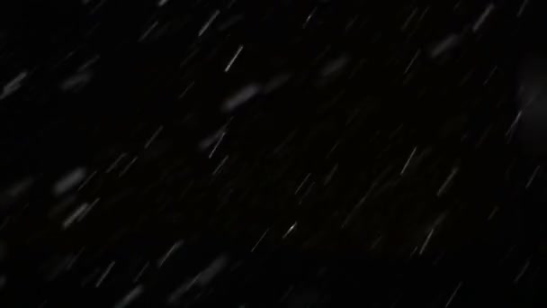 Falling snow on black — Stock Video