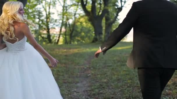 Casamento noiva e noivo andar — Vídeo de Stock