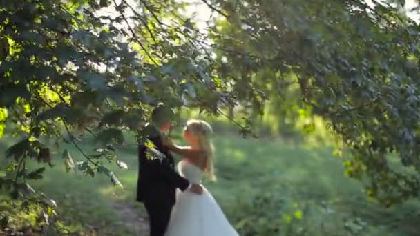 Esküvő menyasszony és a vőlegény séta — Stock videók