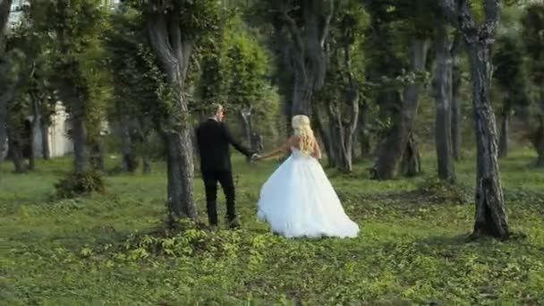 Esküvő menyasszony és a vőlegény séta — Stock videók