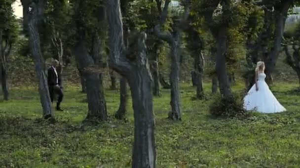 Γάμος Νύφη και το γαμπρό με τα πόδια — Αρχείο Βίντεο