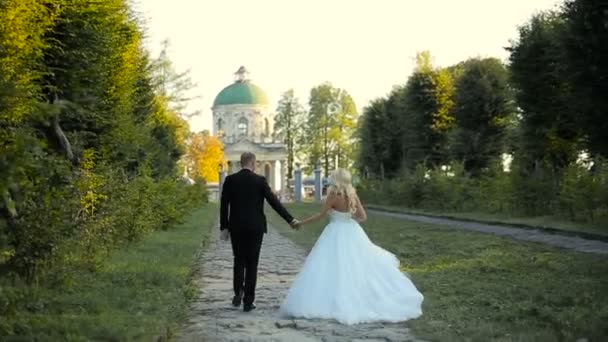 Ślub pary młodej spacerem — Wideo stockowe