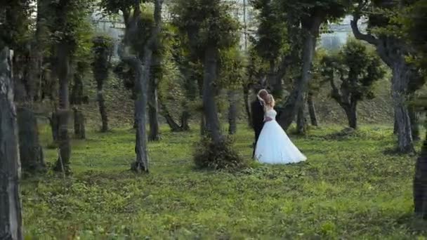 Wedding bride and groom walk — Stock Video