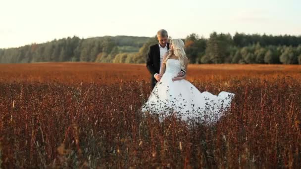 Wedding bride and groom walk — Stock Video