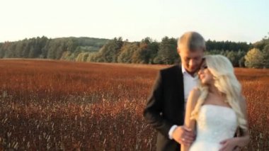 Düğün Gelin ve damat yürüyüş