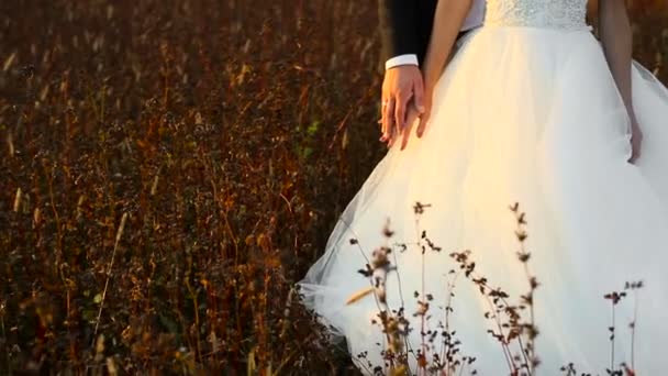 Matrimonio sposa e sposo a piedi — Video Stock