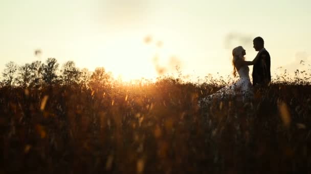 Matrimonio sposa e sposo a piedi — Video Stock