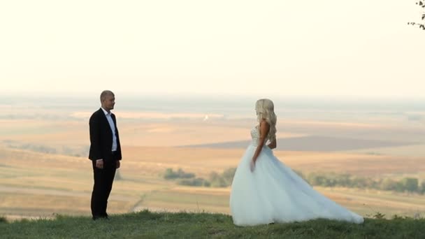 Braut und Bräutigam spazieren — Stockvideo