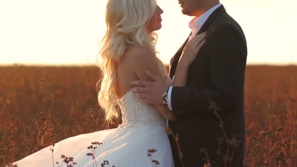 Matrimonio sposa e sposo a piedi — Video Stock