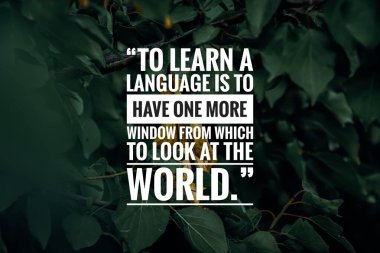 Doğal geçmişi olan başarı alıntısı, ilham verici motivasyon alıntısı.. 