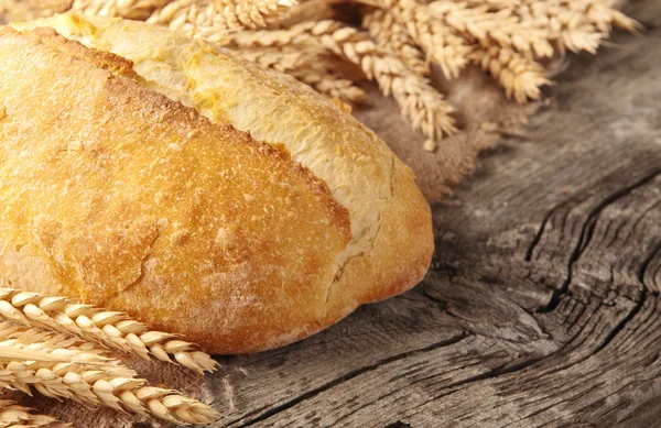 Pane intero di pane fatto in casa appena sfornato — Foto Stock