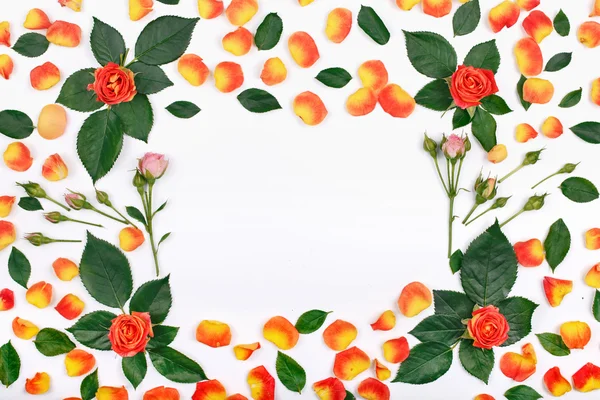 Квіти фон, рамка з трояндами — стокове фото