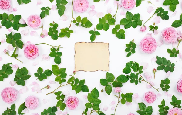 Барвиста рамка з свіжих троянд фону — стокове фото