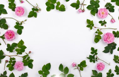 Çerçeve gül ve yaprakları gül