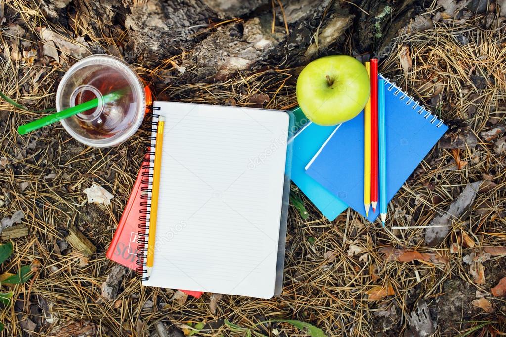 Notebook with a blank page under a tree