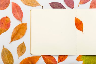 Açık defter ile beyaz arka plan üzerinde renkli sonbahar yaprakları