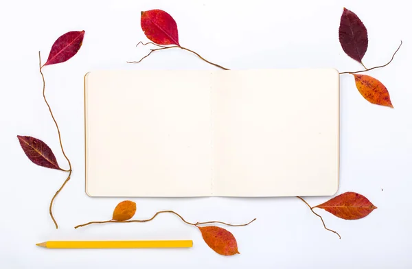 Цветные осенние листья с открытым блокнотом и карандашом — стоковое фото