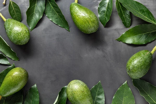 Frischer Avocadorahmen Mit Blättern Auf Grauem Hintergrund Draufsicht — Stockfoto