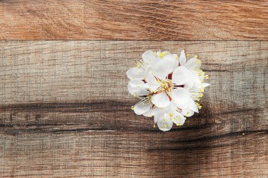 Ahşap doku arkaplanı