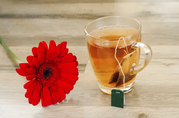 Zwarte thee met mooie bloem gerbera — Stockfoto