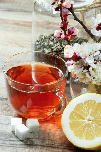 Filiżanka herbaty i kwiatów — Zdjęcie stockowe