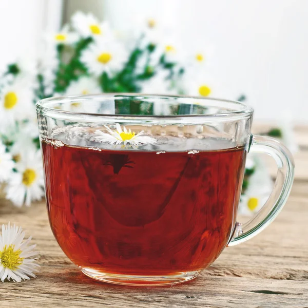 Black tea in a glass cup and chamomile flowers — Stock Photo, Image