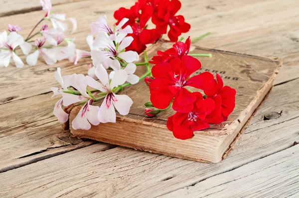 Zweige schöner roter und weißer Blumen — Stockfoto