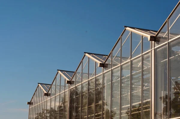 Greenhouse industrial building closeup — Stock Photo, Image