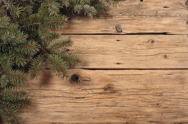 ahşap arka plan üzerinde bir Noel ağacının dalını