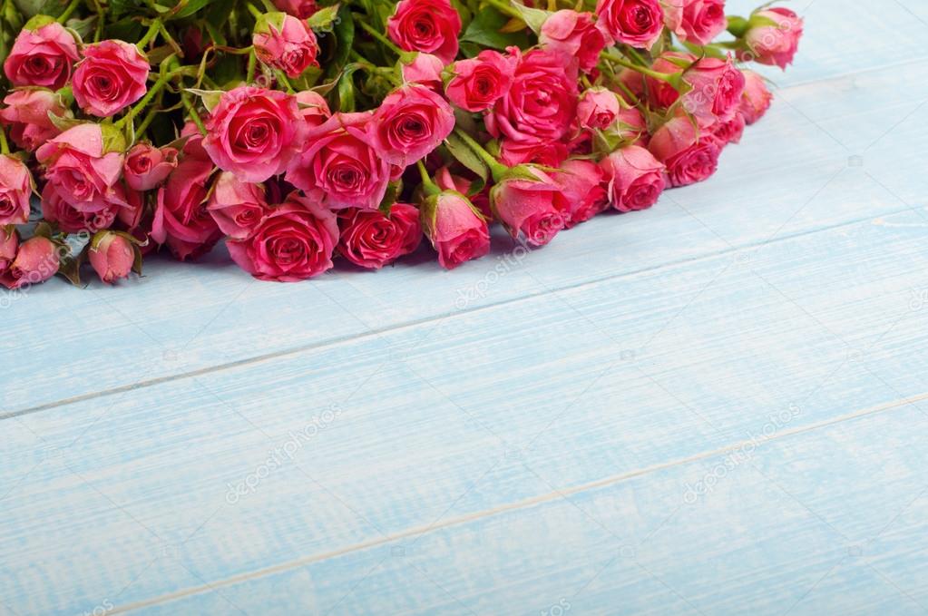 Bouquet of pink roses on a blue surface