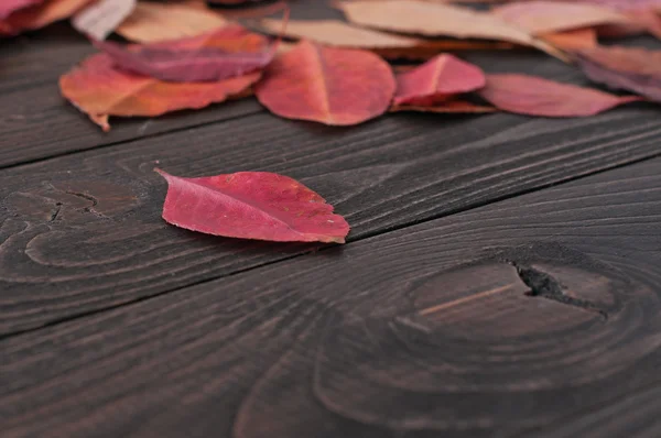 Na podzim červené listy na tmavý dřevěný stůl — Stock fotografie
