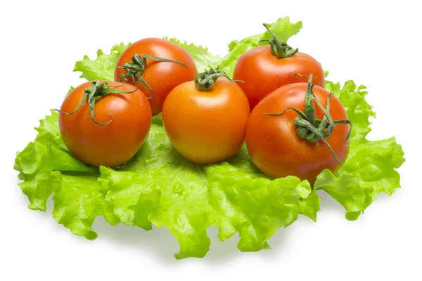 Tomaten op salade blaadjes — Stockfoto