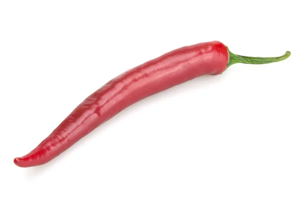 One red chili pod — Stock Photo, Image