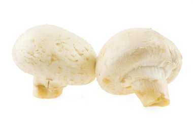 iki champignon