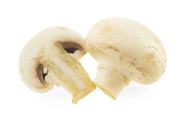 Mushrooms — Stock Photo, Image