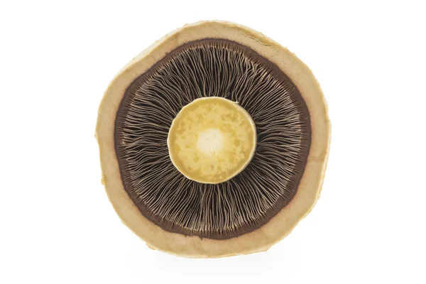 Slice mushroom — Stock Photo, Image