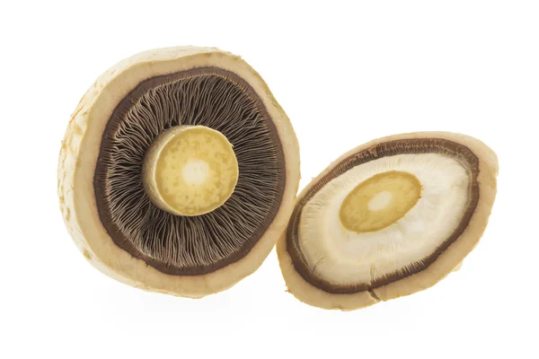 Slice mushroom — Stock Photo, Image