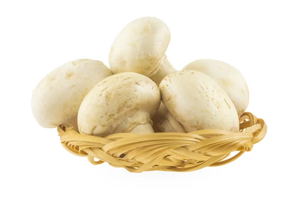 Mushrooms in a basket — Stock Photo, Image