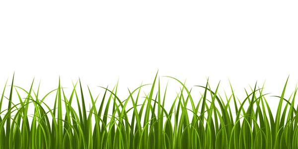 Grass seamless — Stock Vector