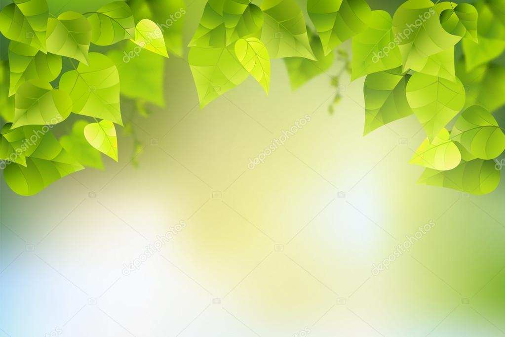 Branch and leaves on nature background