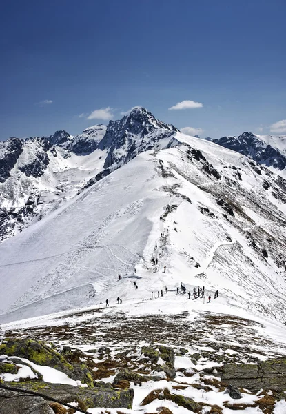 Swinica - Tatra Ulusal Parkı - Polonya, Zakopane