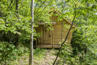 Barınak ağaçların arasında