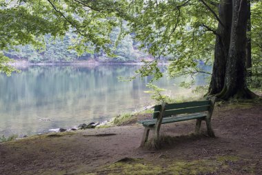 Bench on the lake clipart