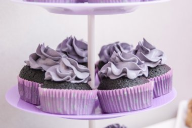 Tabaktaki kurabiyeler