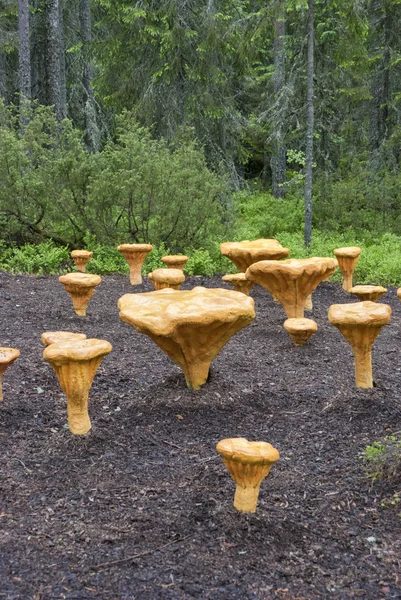 Skräp i skogen med svamp — Stockfoto